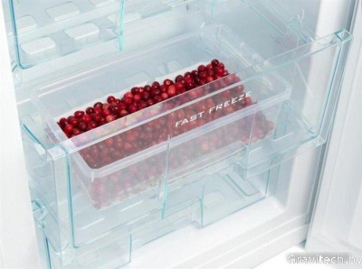 Холодильник Snaige RF32SM-S0002F