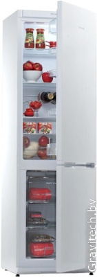 Холодильник Snaige RF36SM-S0002F