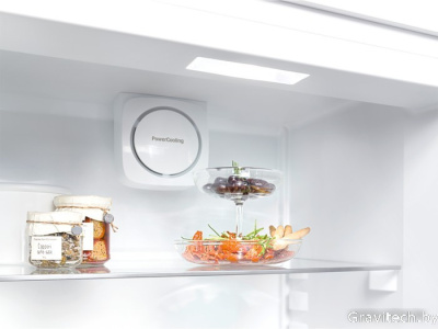 Холодильник Liebherr CNP 4313