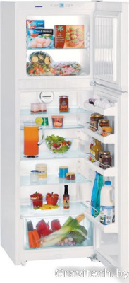 Холодильник Liebherr CT 3306