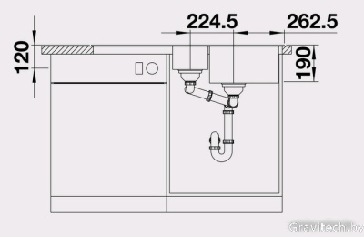 Кухонная мойка Blanco Legra 6 S (шампань) [522211]