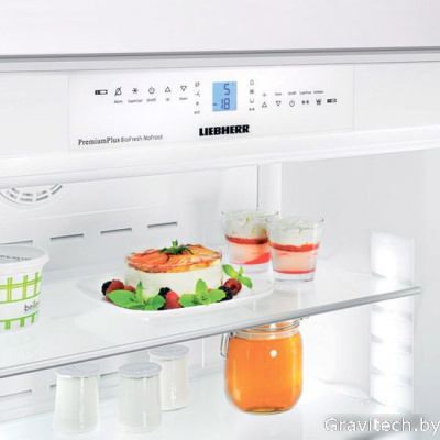 Холодильник Liebherr ECBN 6256