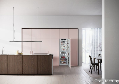 Однокамерный холодильник Liebherr IRBd 5180 Peak