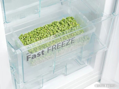 Холодильник Snaige RF58SM-S5MP2E