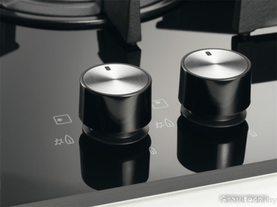 Варочная панель Electrolux GPE363NK