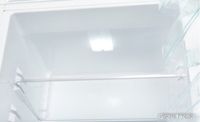 Холодильник Snaige RF31SM-S0002F