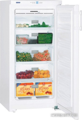 Морозильник Liebherr GN 1923 Comfort