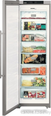 Морозильник Liebherr SGNesf 3063