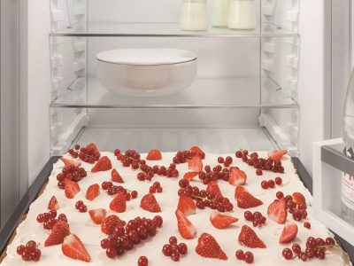 Однокамерный холодильник Liebherr IRe 4020 Plus