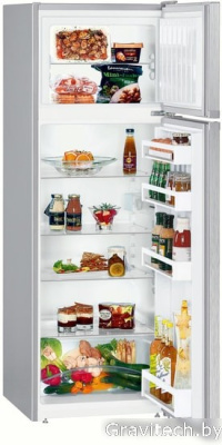 Холодильник Liebherr CTel 2931