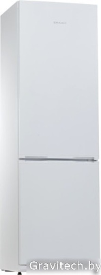 Холодильник Snaige RF36SM-S0002G0