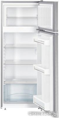 Холодильник Liebherr CTel 2531