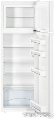 Холодильник Liebherr CT 2931